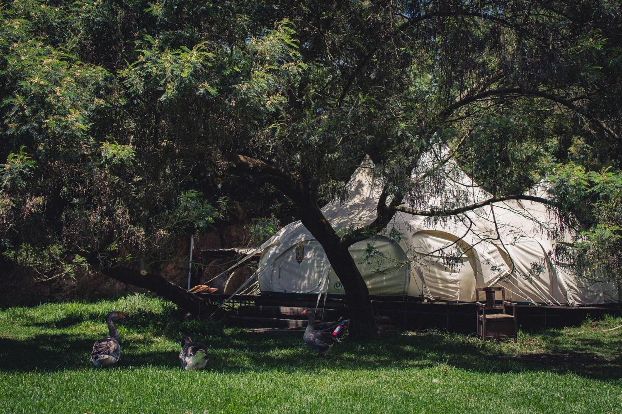 Arambha Ecovillage Farmstay Tabua  Kültér fotó