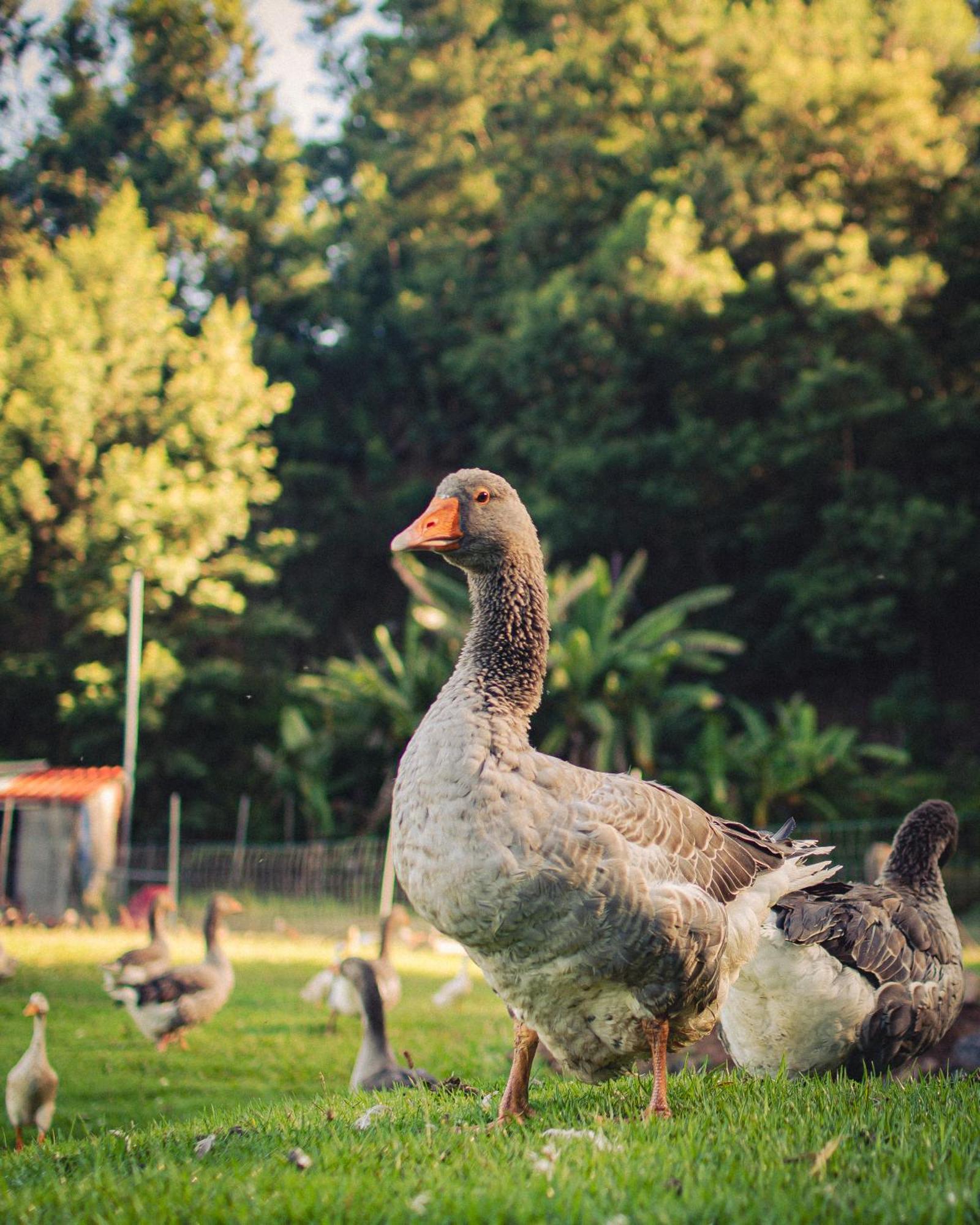 Arambha Ecovillage Farmstay Tabua  Kültér fotó
