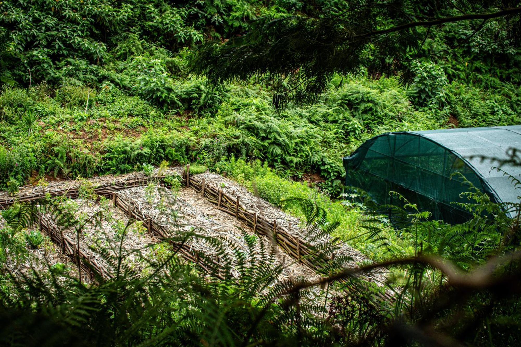 Arambha Ecovillage Farmstay Tabua  Kültér fotó